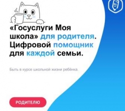 Спокойствие для родителей